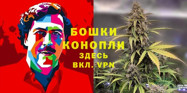 spice Магас