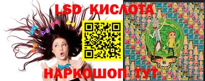 крисы Бийск