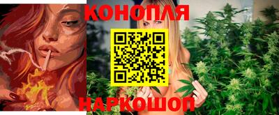 соль ск Можга