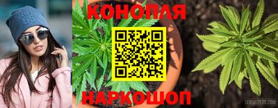 PSILOCYBIN Можайск