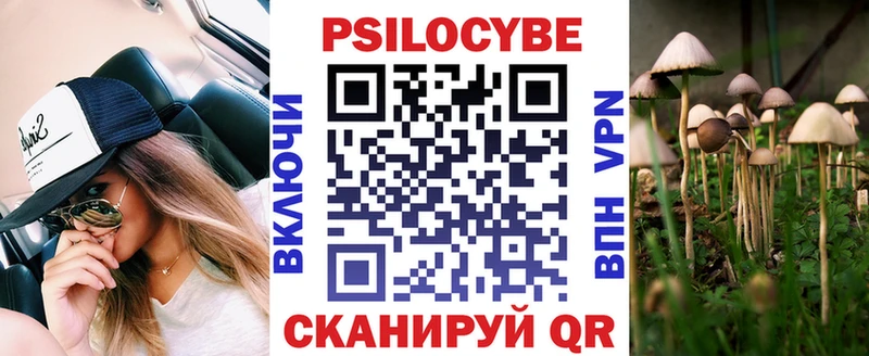 сколько стоит  Надым  blacksprut зеркало  Псилоцибиновые грибы Psilocybe 